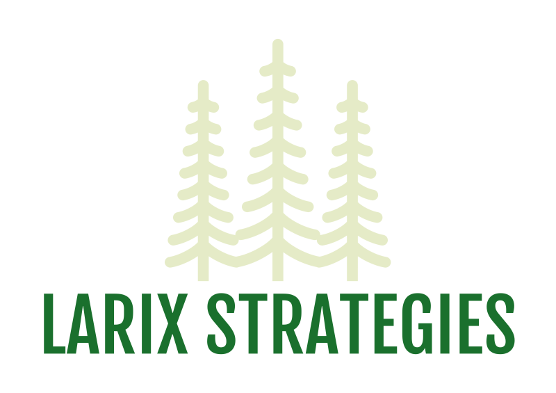 Larix Strategies